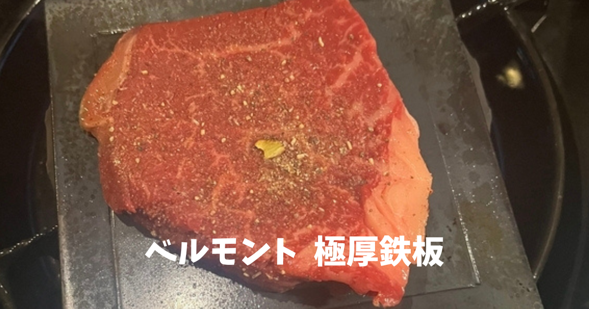 BM-288】ベルモントの極厚鉄板ミニが最強のソロ用鉄板だった話